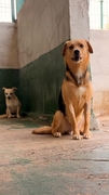 GUS Image 1